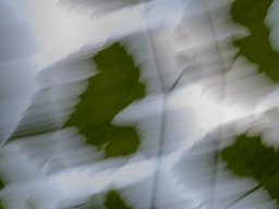 Photo Input: ICM; Thomas Müller
